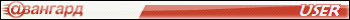 Avangard User