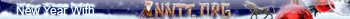 NNTT.ORG New year