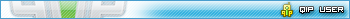 QIP User