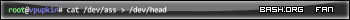 BASH.ORG_FAN