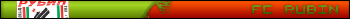 FC Rubin