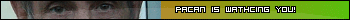 pacan