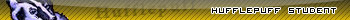 Hufflepuff student