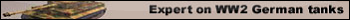 expert on tanks