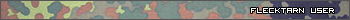 Flecktarn user (Пользователь флектарна)