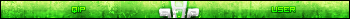 Qip