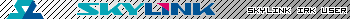 Skylink 