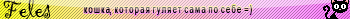 Feles userbar