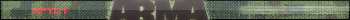 Arma 2