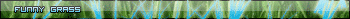 funny grass