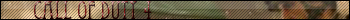 Call of Duty 4