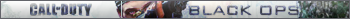Call of Duty: Bleack Ops
