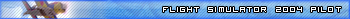 Flight Simulator 2004