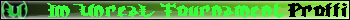 Im Unreal Tournament Proffi...