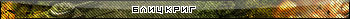 Блицкриг