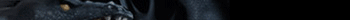 Lineage II player