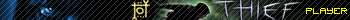 Thief