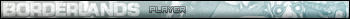 Borderlands player
