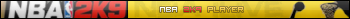 NBA 2k9 player