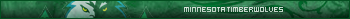 Timberwolves 1.1
