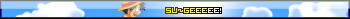 su~gee!
