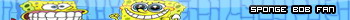 Sponge Bob FAN