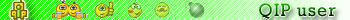 QIP user