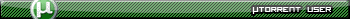 Torrent